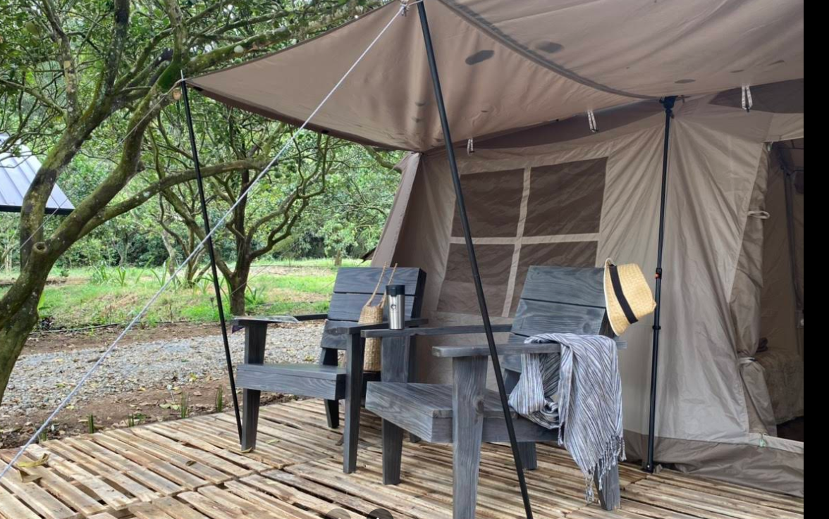 Suối Camp - Khung cảnh thiên nhiên