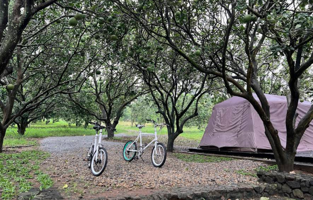 NhÃ  báº¿p chung táº¡i Suá»‘i Camp